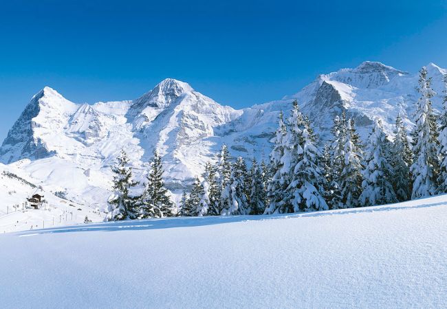 Glacier Express - Ein Wintermärchen